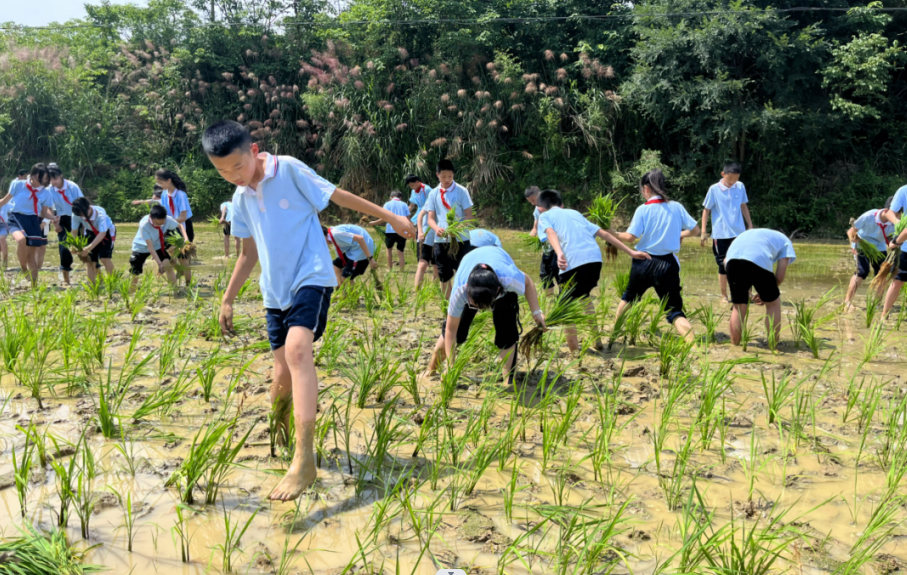 1666944845747175.png 微信圖片_20221028161214.png